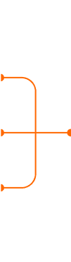 branch curve